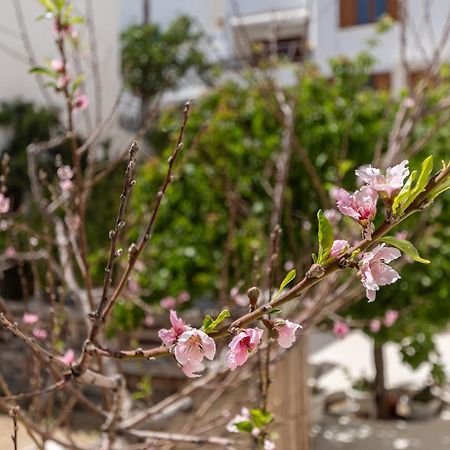 Amaranto Naxos Διαμέρισμα Naxos City Εξωτερικό φωτογραφία